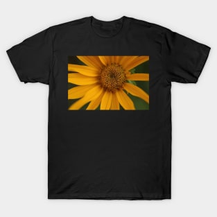 Sunflower T-Shirt